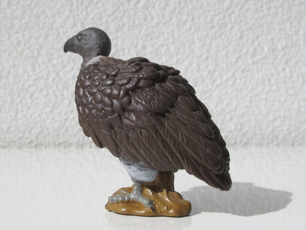Schleich Statuette: Schleich 16706 Weissrücken Geier – Usato da Vilters venduto da hedi00 1