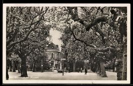 AK Biel, Die Promenade mit Museum