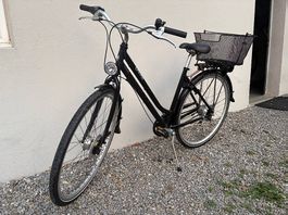 Schönes Cresta Damenrad Tiefeinstieg