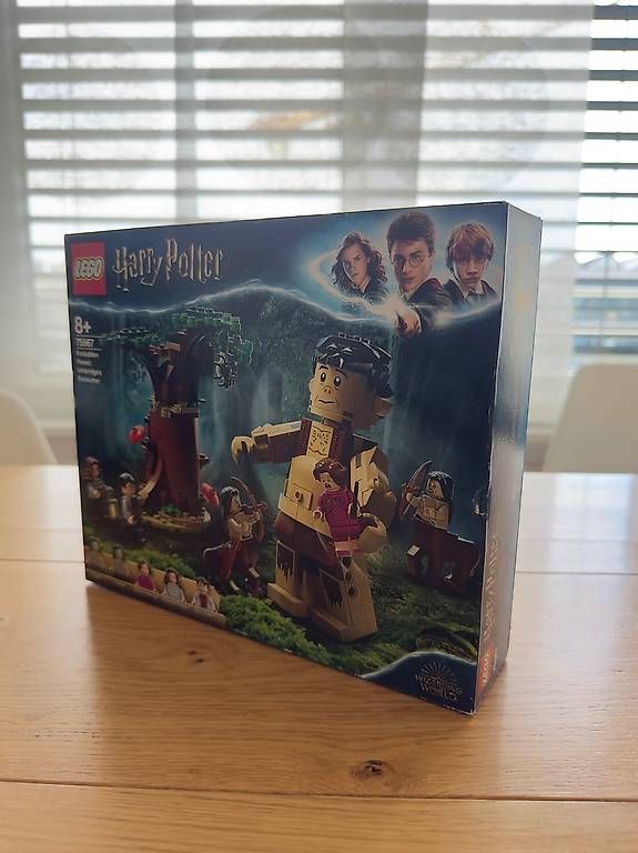 Lego Jouets: LEGO Harry Potter 75967 – Neuf avec emballage d'origine à Zug par 6Optimus 1
