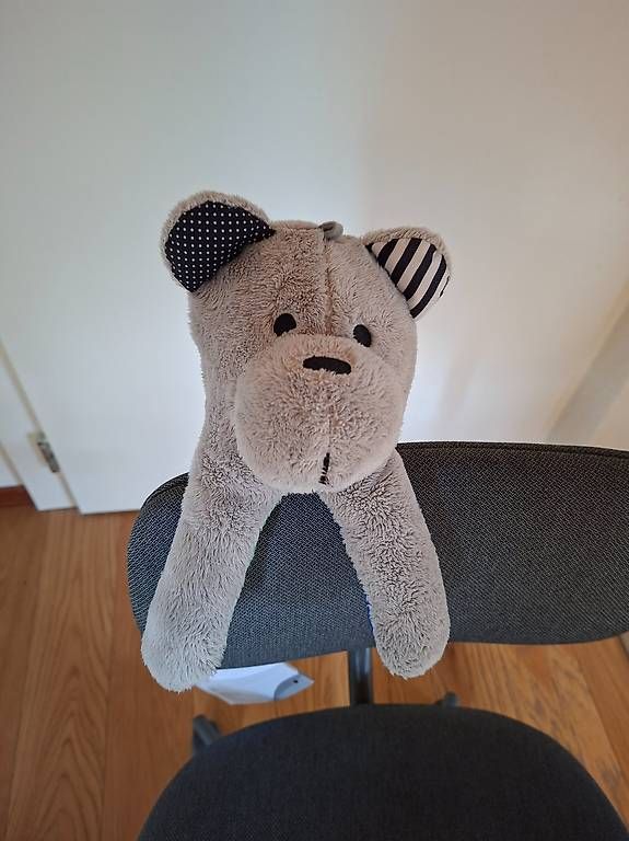 Spielzeuge: Slumber bear Whisbear, the humming bear – Gebraucht aus Sierre von noe_y7vf 2