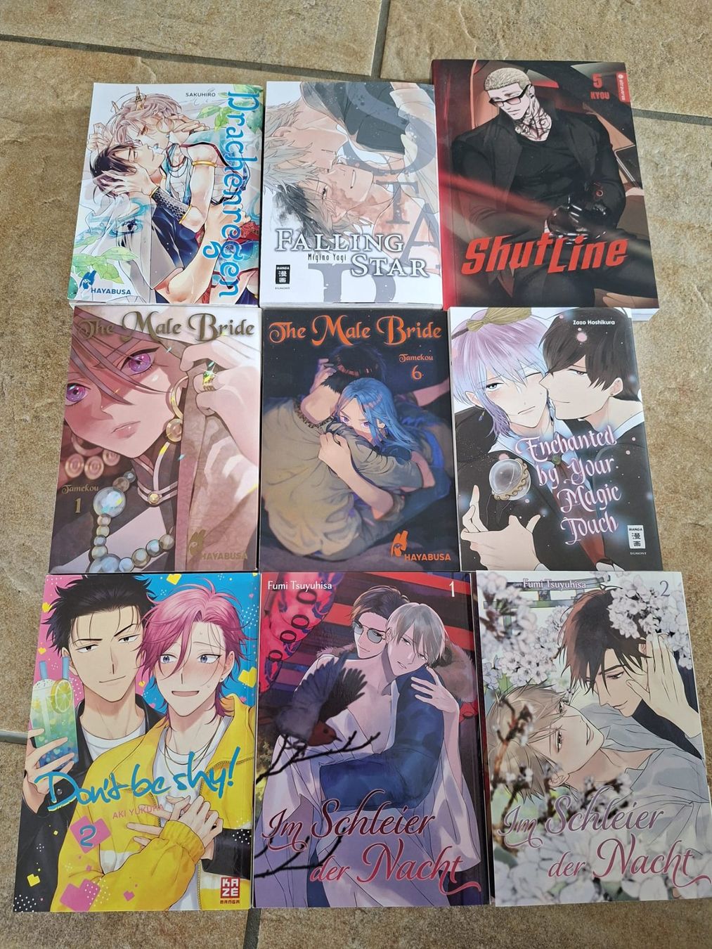 Fumetti: Manga Gay – Usato da Pfeffikon LU venduto da dmschaffi