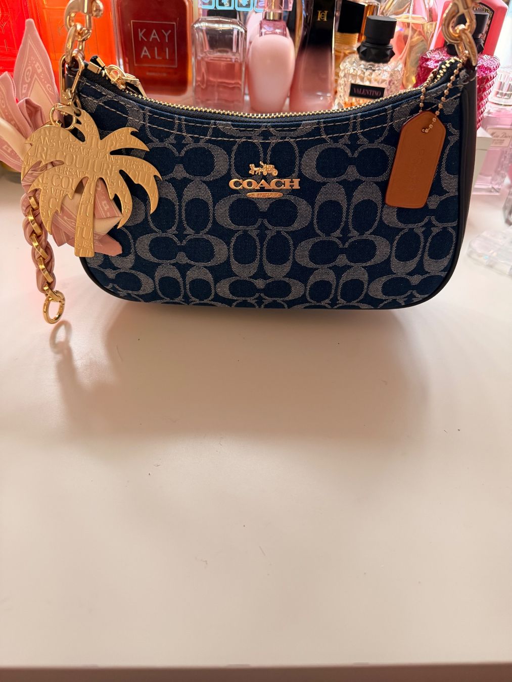 Coach Borse: Terri coach bag – Nuovo (secondo la descrizione) da Kaiserstuhl AG venduto da bai_ytp6