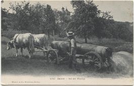 Landwirtschaft/Ochsenfuhrwerk/Bschütten 1910 Luzern Musegg