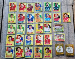 Panini 2026