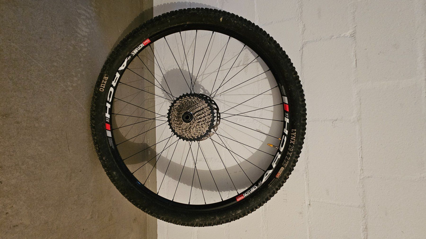 Biciclette: Transalpes AM Plus – Usato da Cham venduto da ren_lh9z 9