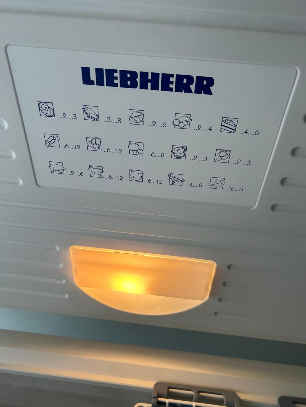 Liebherr Congelatori: Gefriertruhe – Usato da Basel venduto da faz_hdd8 7