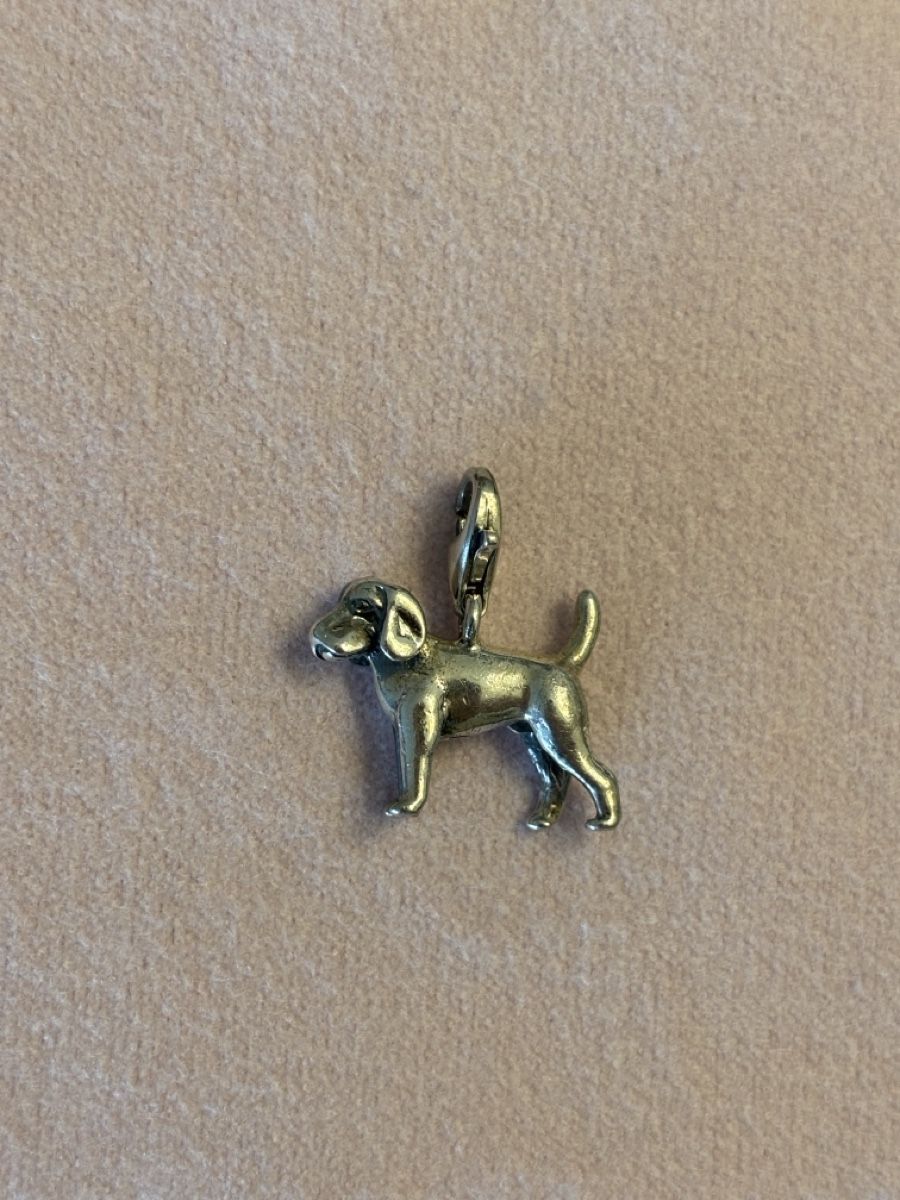 Thomas Sabo Ciondoli: Thomas Sabo Anhänger Hund Silber – Usato da Uetikon am See venduto da ansi2601
