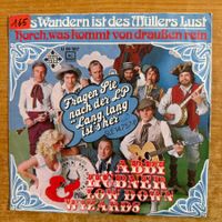 Abbi Hübner & His Low Down Wizards - Das Wandern Ist Des..