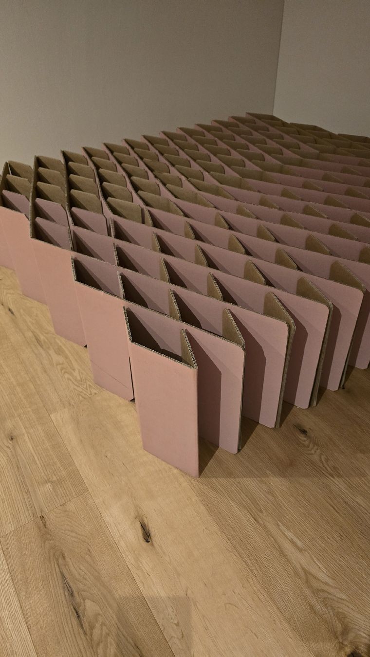 Betten: Room in a Box / Kartonbett  – Gebraucht aus Schlieren von YFG_ZH 3