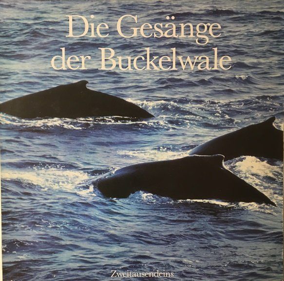 Schallplatten: Die Gesänge der Buckelwale (LP) – Gebraucht aus Grüningen von azulvinyl