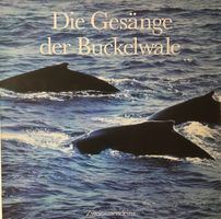 Die Gesänge der Buckelwale (LP)