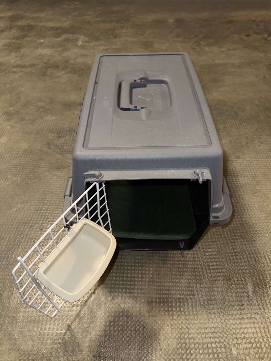 Gabbie, trasporto & Sicurezza: Katzen box – Nuovo (secondo la descrizione) da Muttenz venduto da akb_dys7