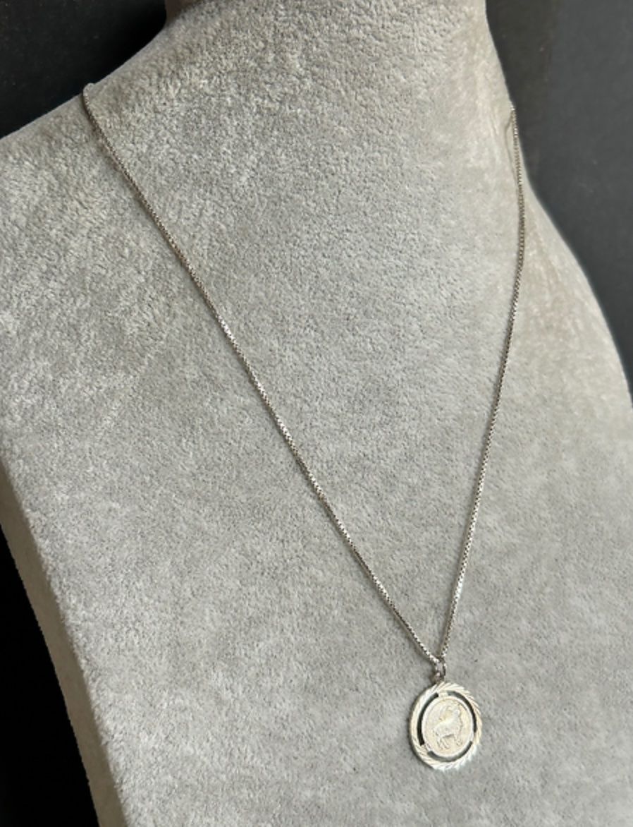 Catenine: Kette Steinbock Silber – Usato da Basel venduto da bellespirit 9