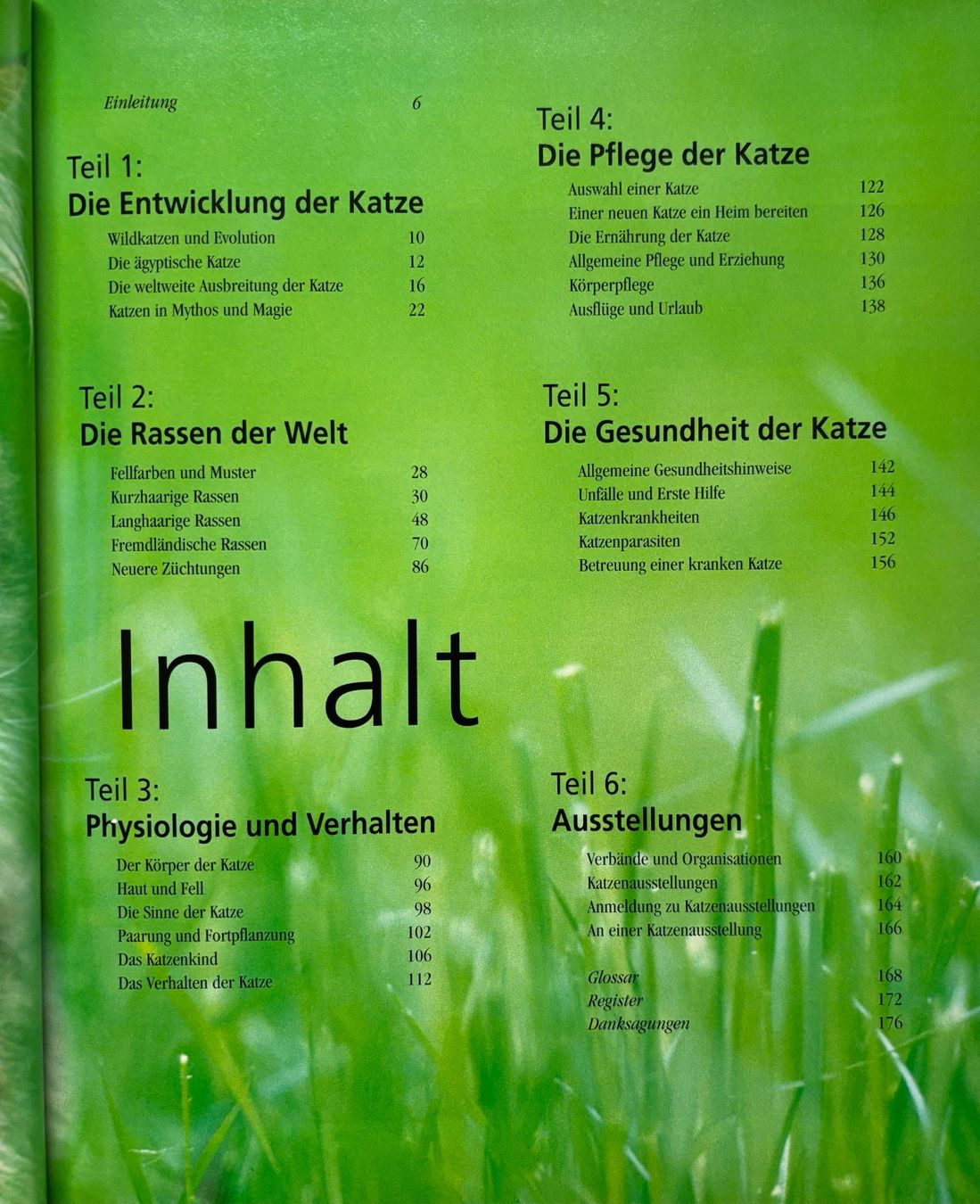 Libri: Katzen und ihre Welt – Nuovo e nell'imballaggio originale da Sarnen venduto da Livres 3