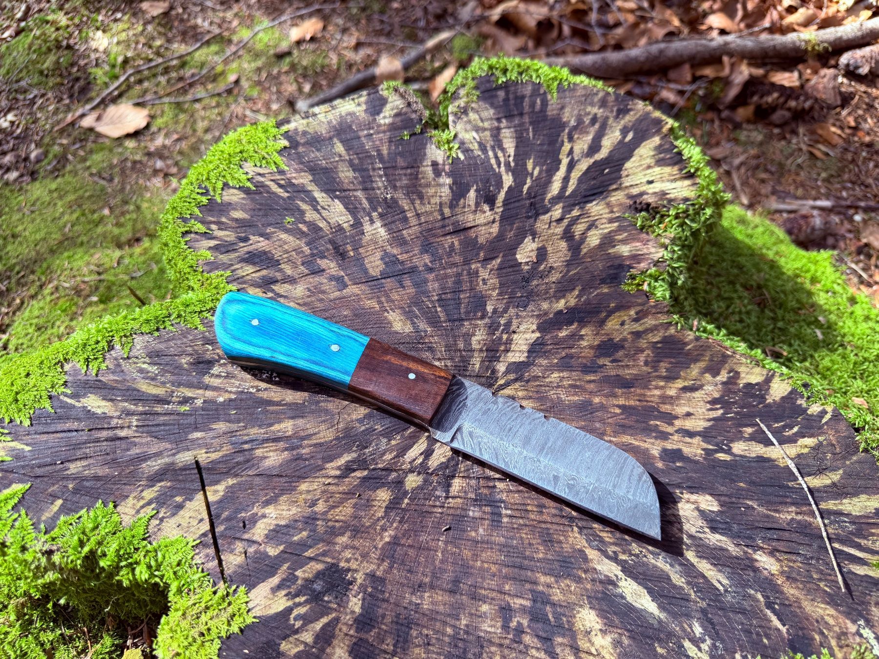 Accessoires: Damast Bushcraft Messer Sheepfoot Blade – Neuf avec emballage d'origine à Luzern par asciva 2