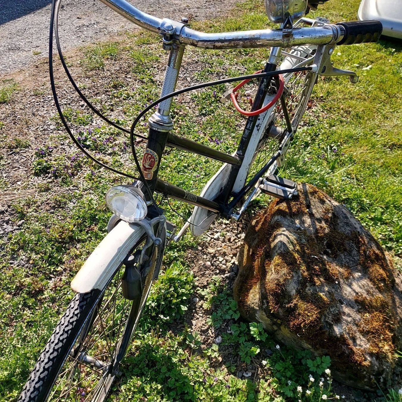 Biciclette: Velo Feng Huan-Phoenix – Usato da Siebnen venduto da Mark_SZ 2