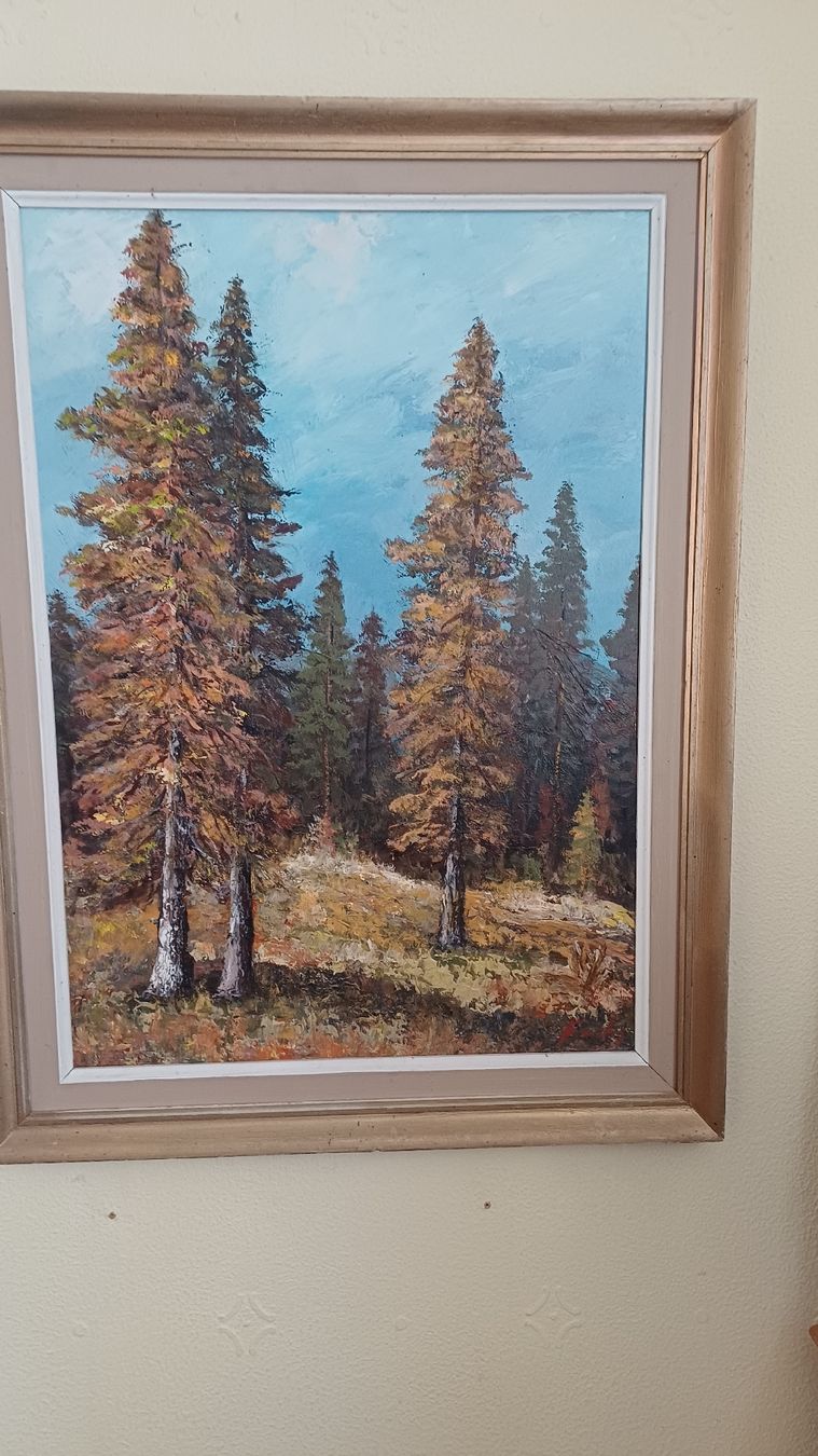 Dipinti: Schönes Naturbild Handgemalt  – Usato da Flawil venduto da Pinkmalibu 9