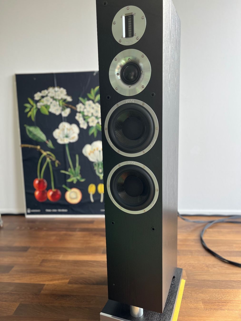 Proac Casse acustiche: Lautsprecher ProAc K6 – Usato da Biel/Bienne venduto da osajost