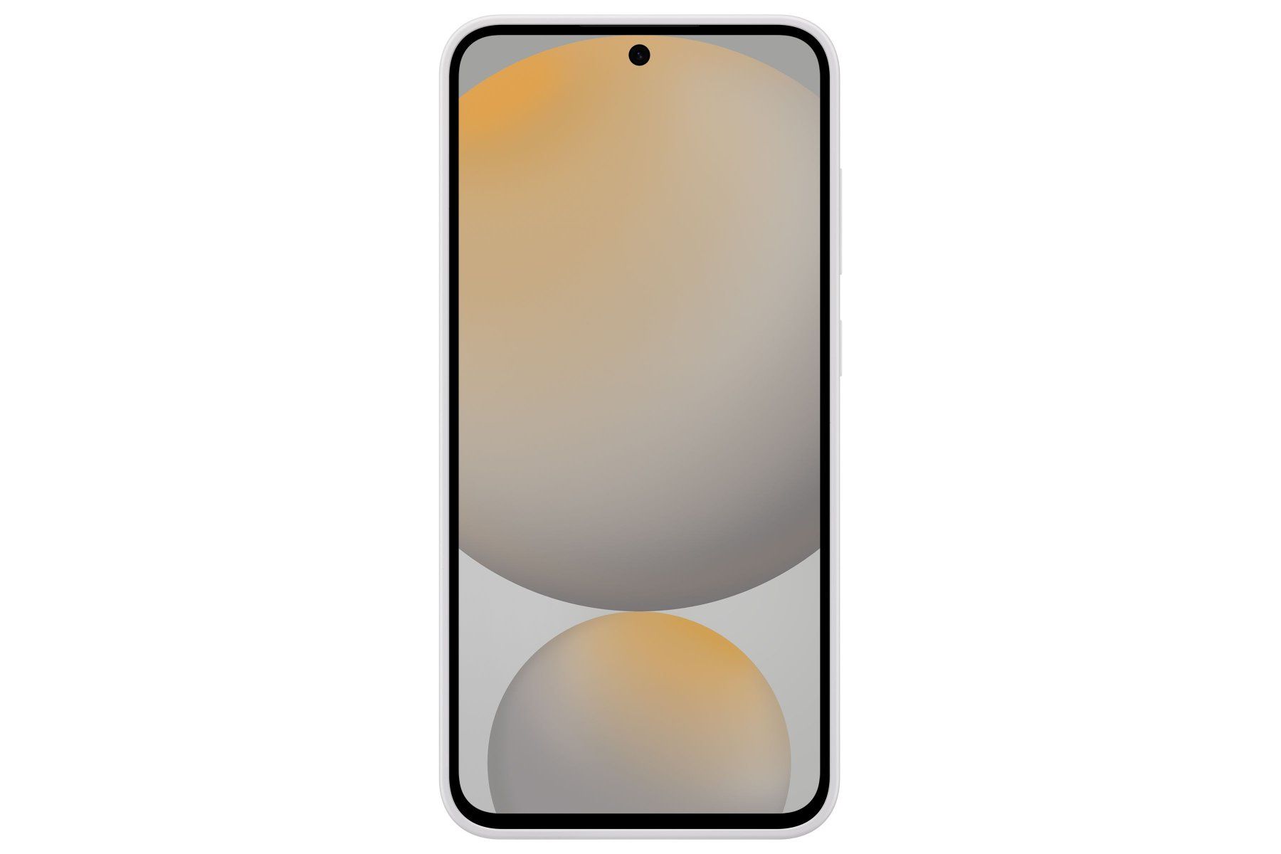 Samsung Cover & Protezioni schermo: Samsung S24 FE Silicone Case Gray – Nuovo e nell'imballaggio originale da Niederurnen venduto da mowgli_1963 3