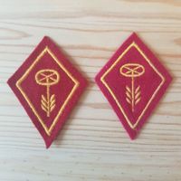Kragenspiegel Motfahrer Artellerie - Schweizer Armee