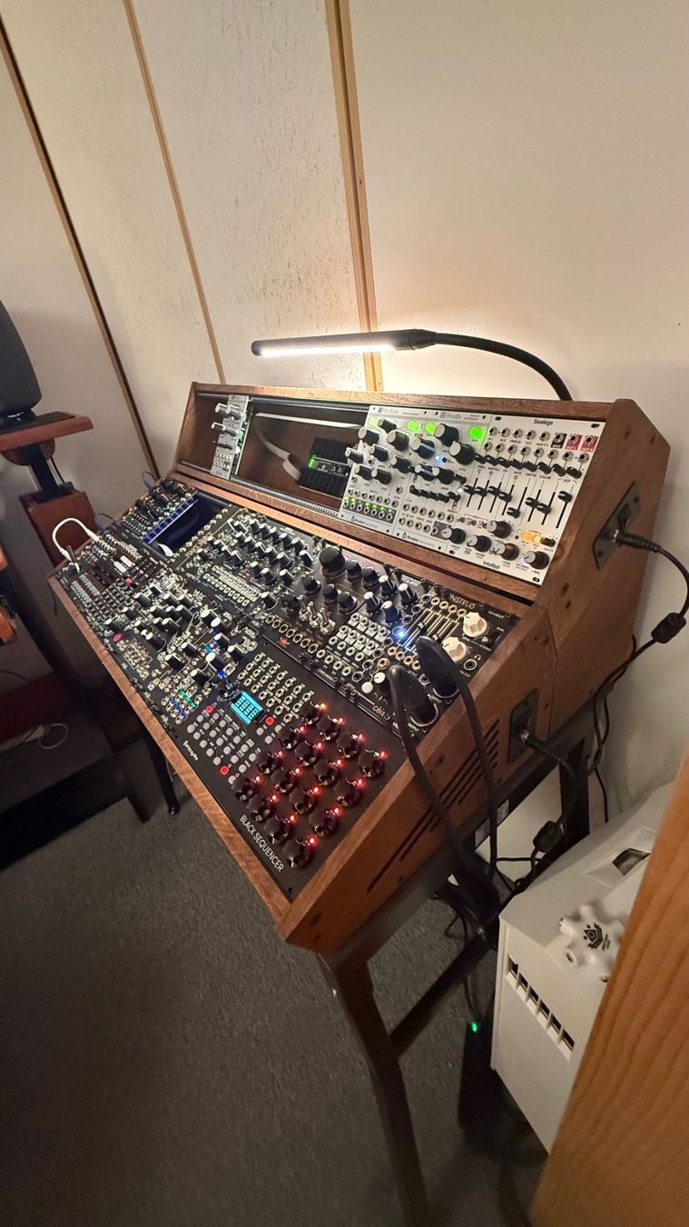 Musikinstrumente: Modular Case von 2 many Synths – Gebraucht aus Niederglatt ZH von Bluevortex 2