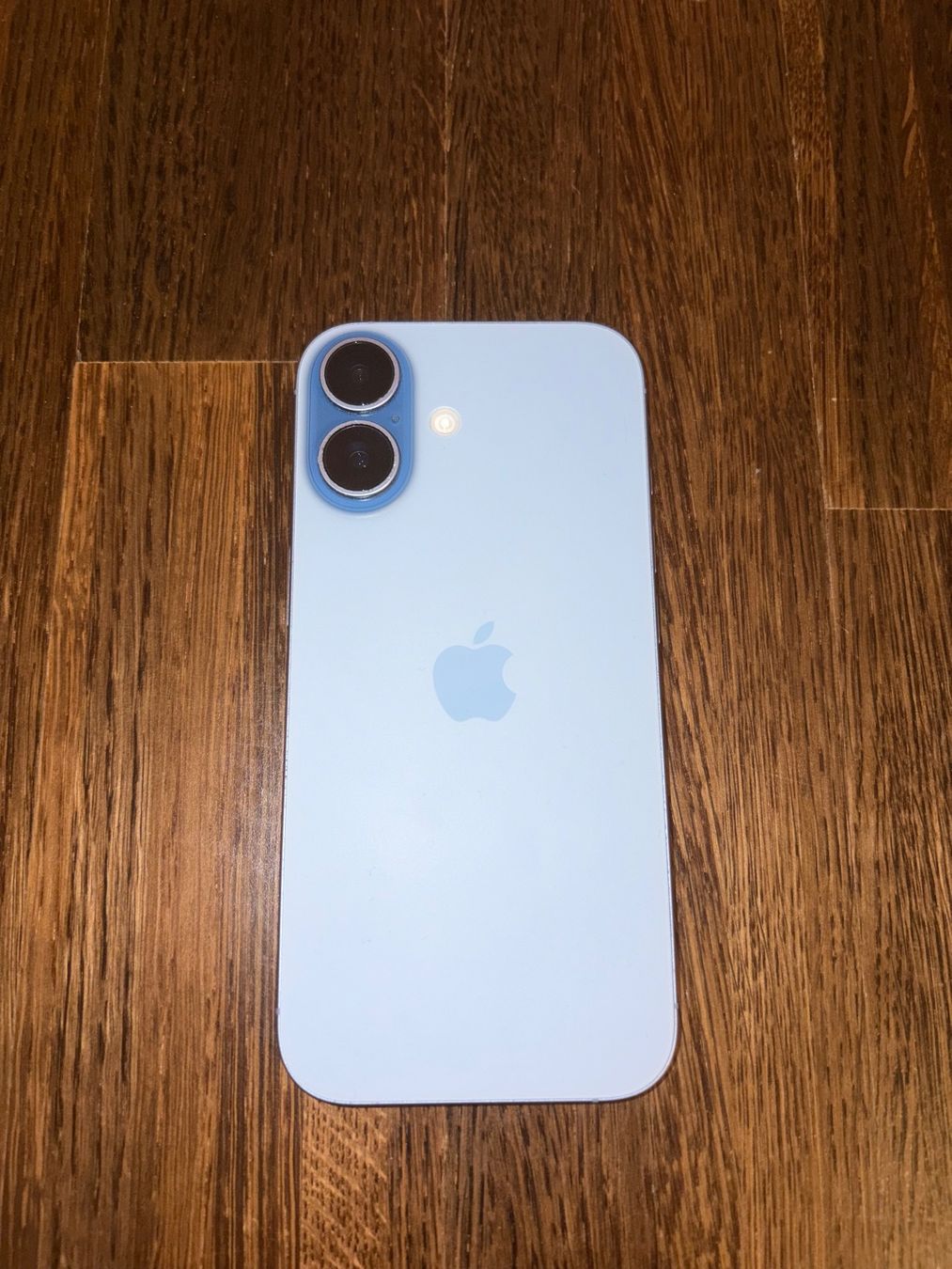 Apple Handys / Smartphones: iPhone 17 / Mist Blue / 512GB – Gebraucht aus Urdorf von YannisW. 1