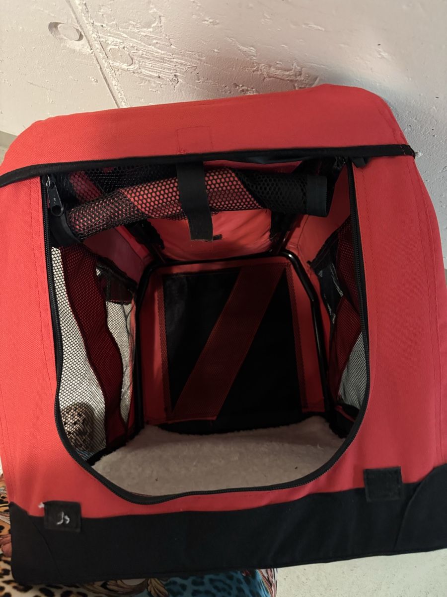 Cucce & Letti: Hunde Transport Box – Usato da Rapperswil SG venduto da sunny166 1