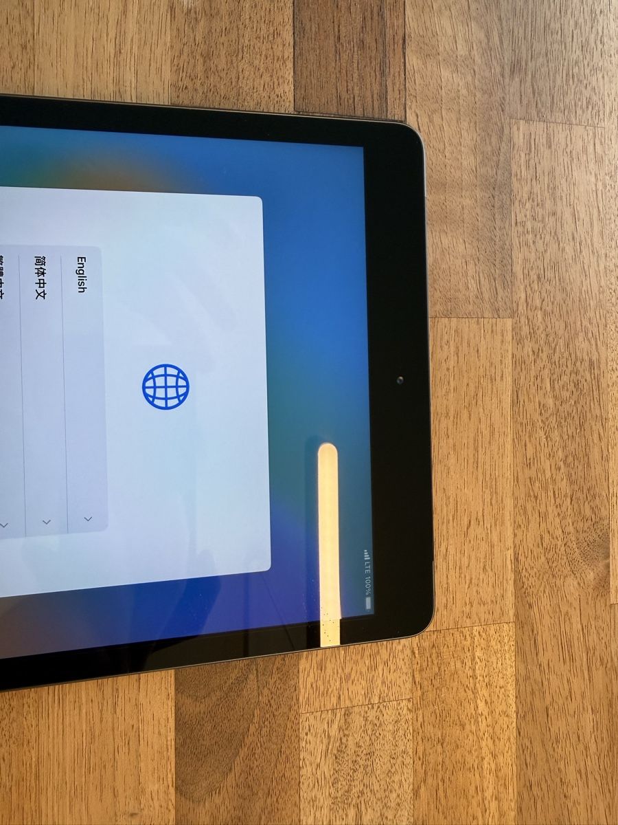 Apple Tablet PC: iPad 7 Generation 128gb mit Simkartenport – Usato da Sirnach venduto da Goforit2001 1