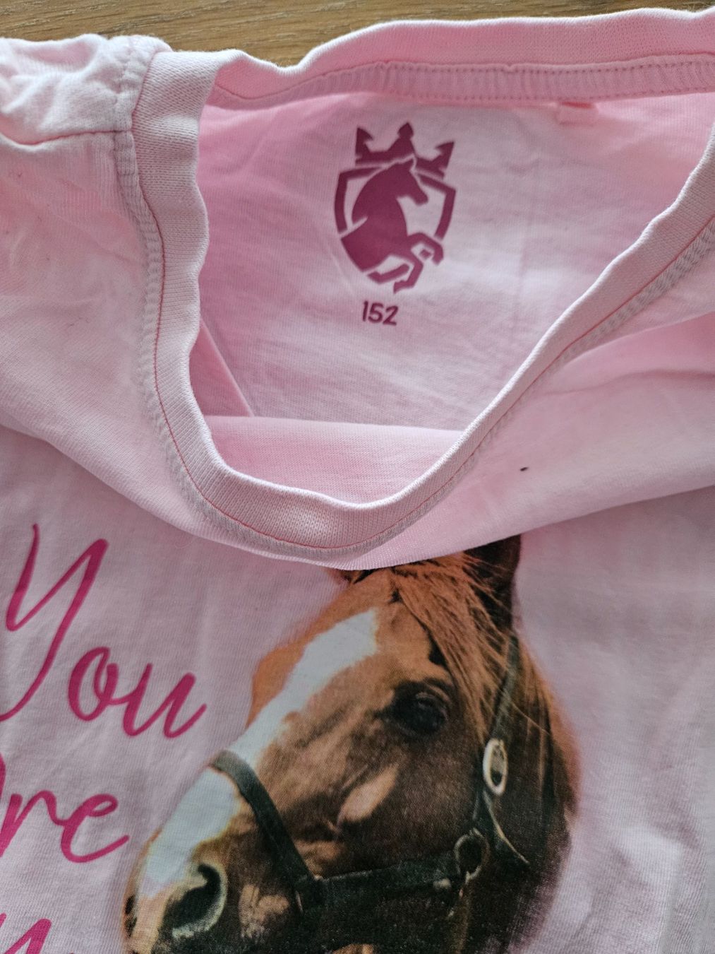 Blusen, T-Shirts & Tops: Pferde Tshirt Gr. 140-146 – Gebraucht aus Engelburg von ynnoc19 1