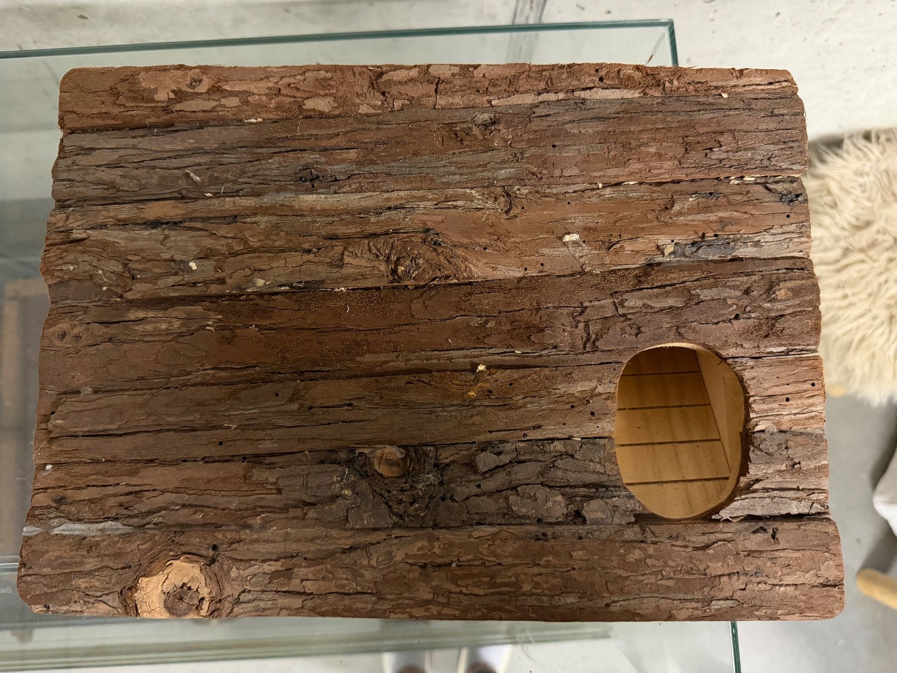 Gabbie, trasporto & Sicurezza: Nagerhaus aus Holz – Usato da Meilen venduto da ninoushka 2