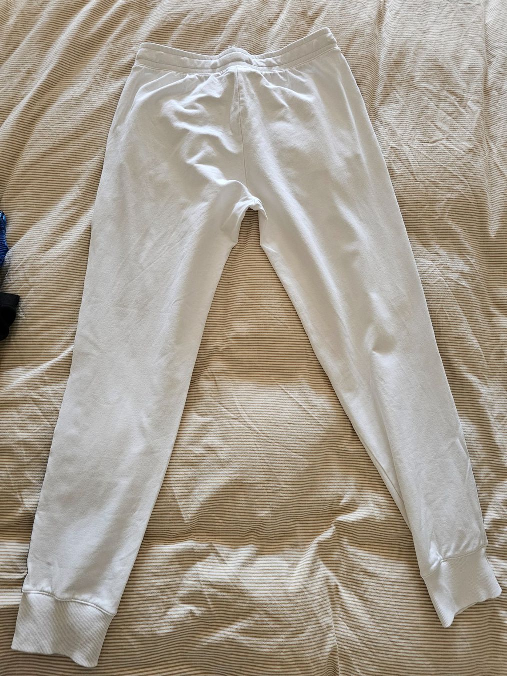 Champion Leggings: Champion Jogginghose, Grösse M, 100% Baumwolle – Nuovo (secondo la descrizione) da Gockhausen venduto da mar_s6wn 3