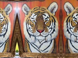 Tigerbild Handmalerei auf Glas