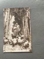 Alte Postkarte Hirtendyll pastoral im Wald mit Schafen