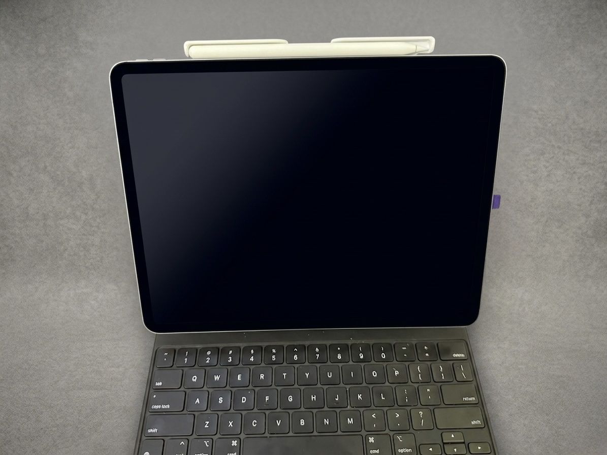 Apple Tablet PC: support de rangement pour l'Apple Pencil – Nuovo (secondo la descrizione) da chippis venduto da printing3D