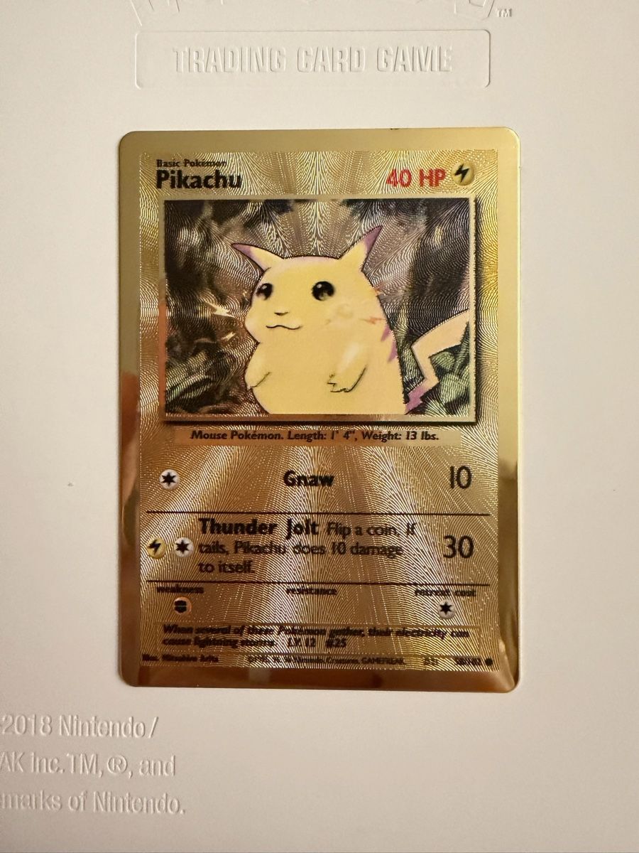 Pokémon Carte collezionabili: Charizard & Pikachu (Celebrations Metall Karte) – Usato da Biel/Bienne venduto da SeeLoewe55 2