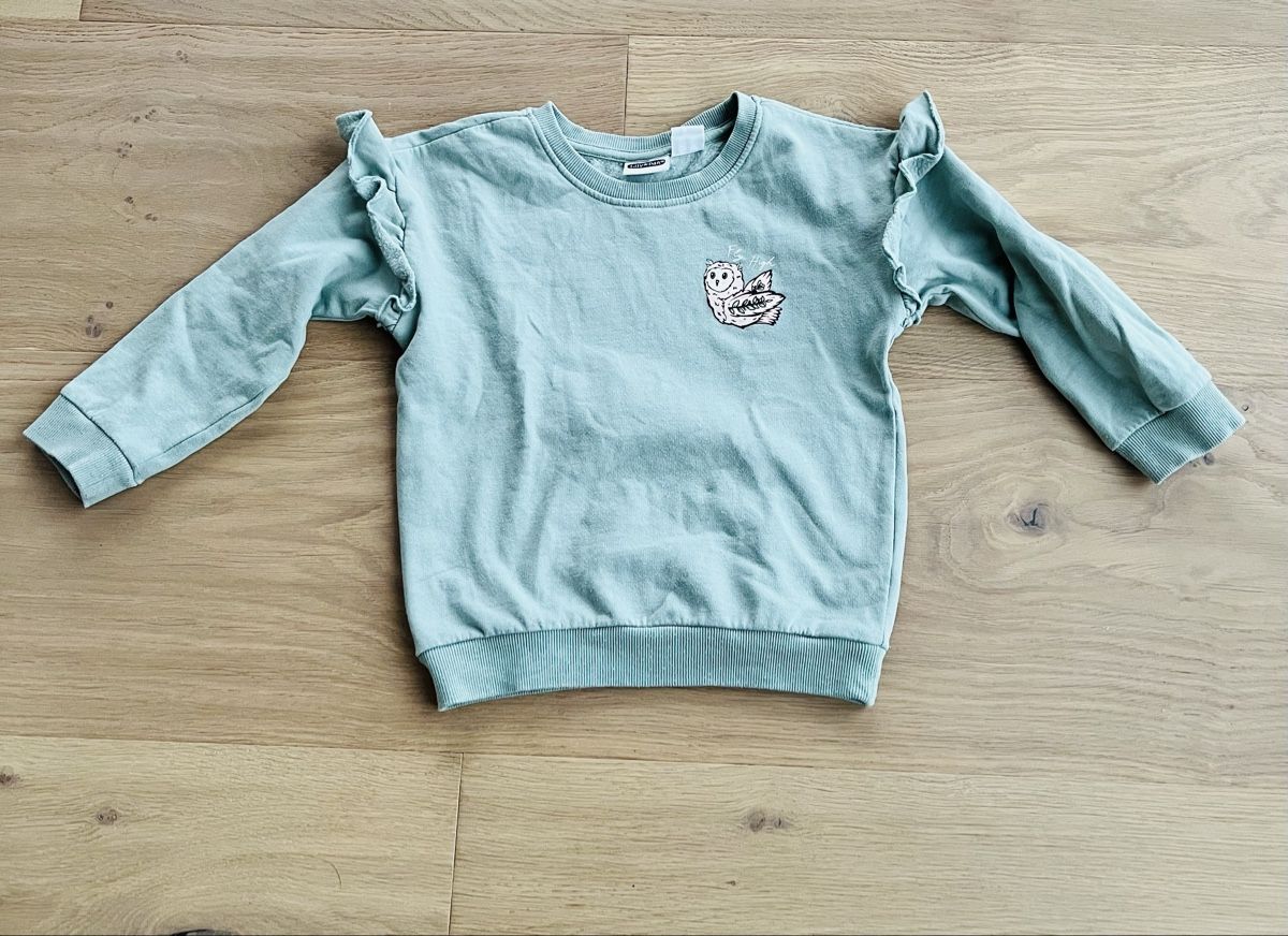 Maglioni & Felpe: Pullover Eule - Grösse 110 – Usato da Tagelswangen venduto da PhilipH01