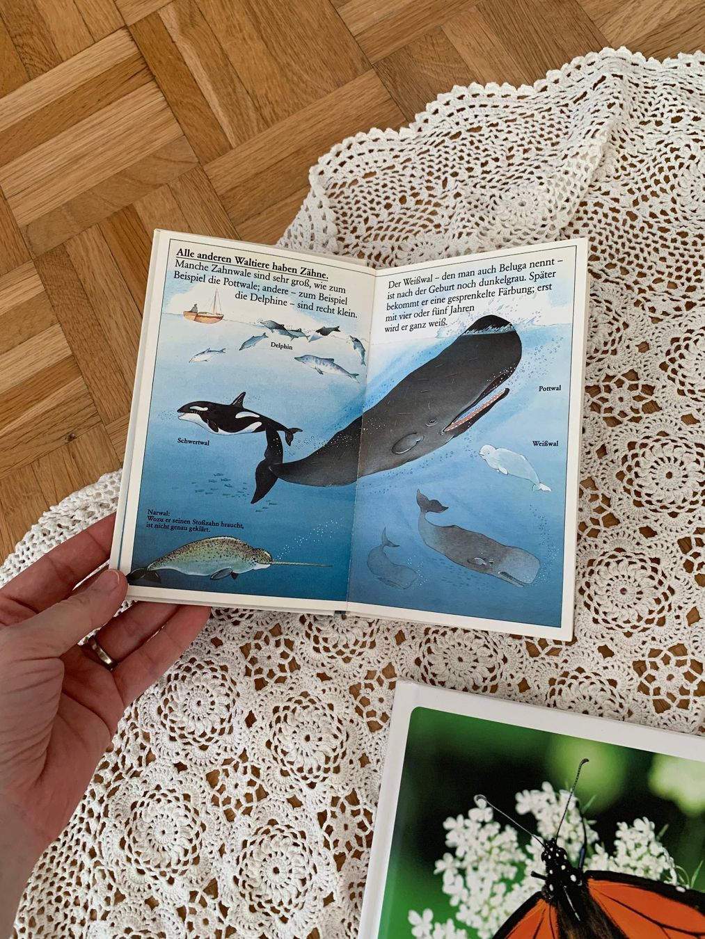 Libri: 3 schöne Kinderbücher – Usato da Moutier venduto da chDuplessy 2