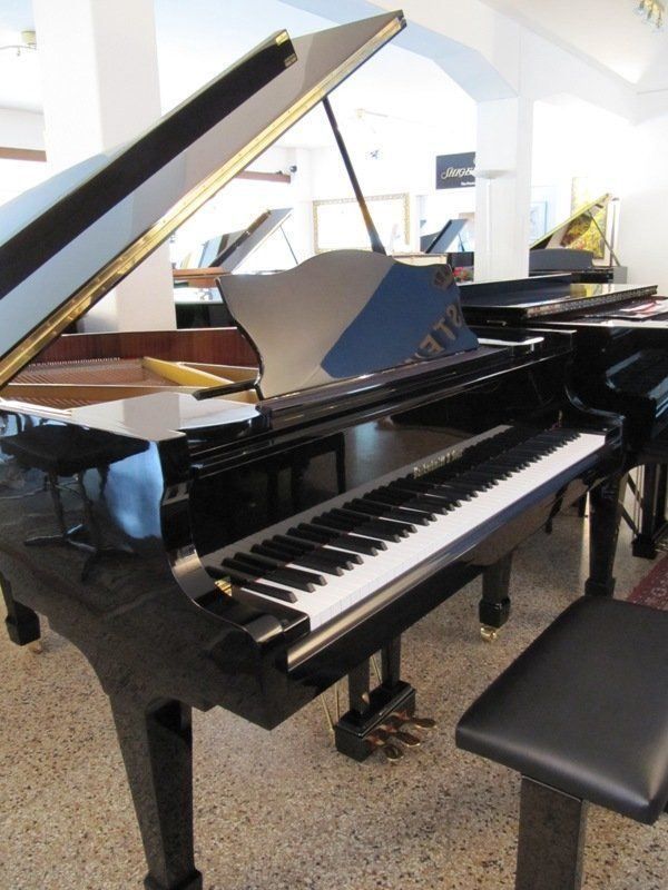 Strumenti musicali: Bachschmidt & Sons 160-Silent, Revidiert – Usato da Bern venduto da Heutschipiano