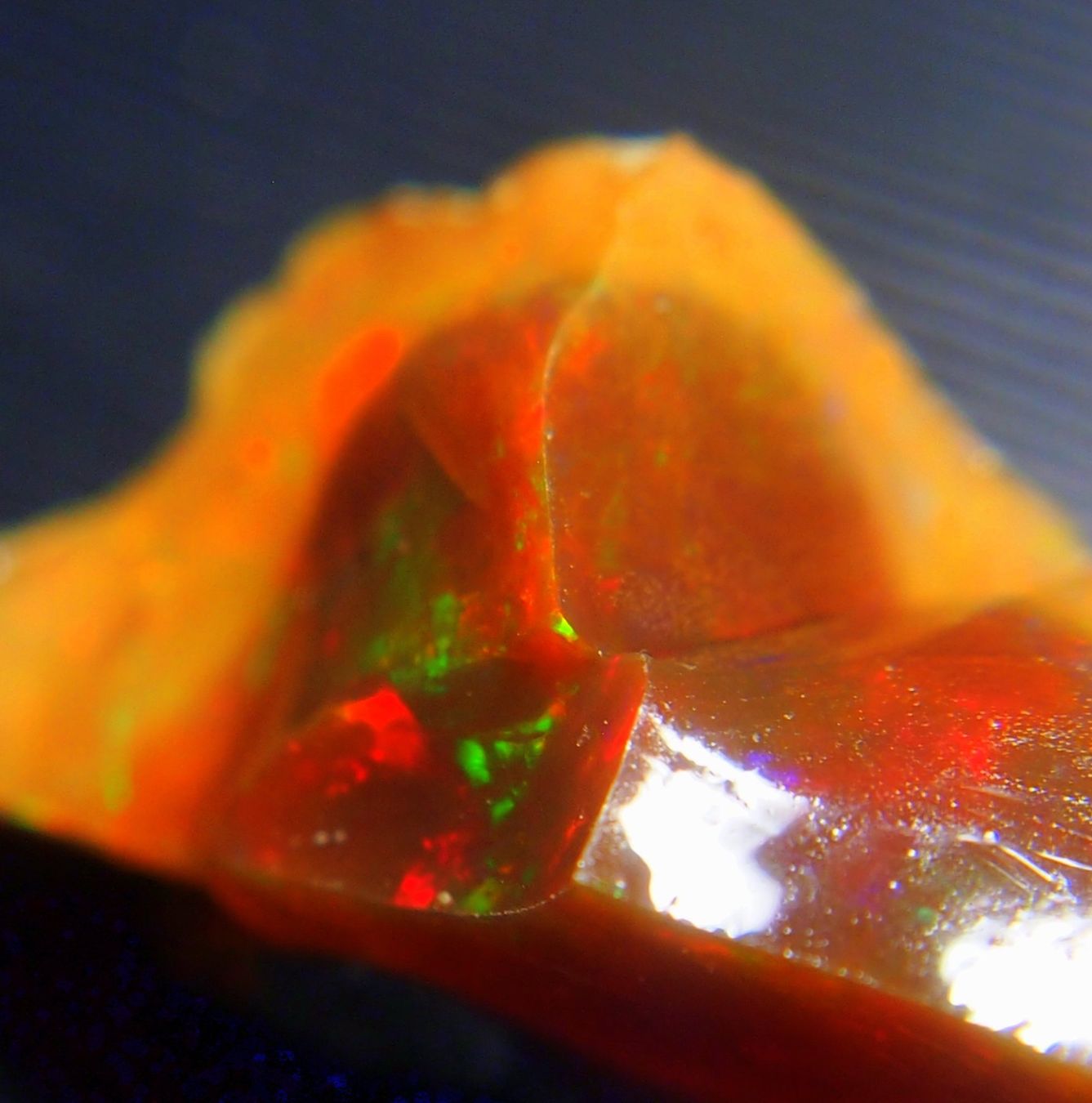 Pietre preziose: 39 ct. Top-funkelnder WELO-Feueropal roh – Nuovo e nell'imballaggio originale da Reinach BL venduto da Marblue 8