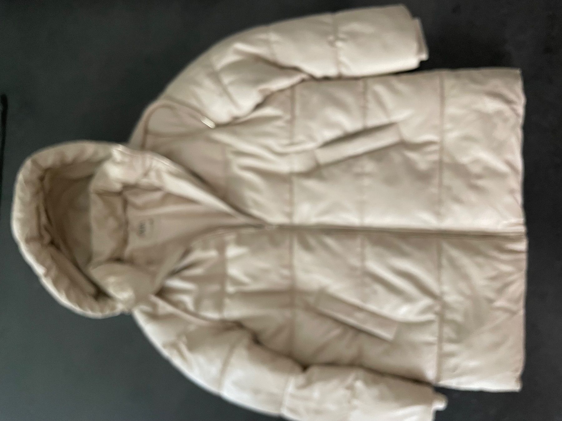 Zara Giacche: Zara Winter Jacke – Usato da Zürich venduto da Ivona3