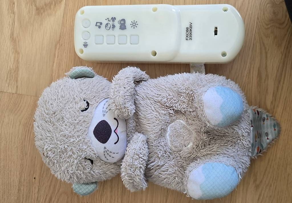 Spielzeuge: Schlummerotter FisherPrice – Gebraucht aus Boll von BernerIn_89