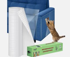 Kratzsch Sofa Katze Transparent, Kratzschutz Selbstklebend