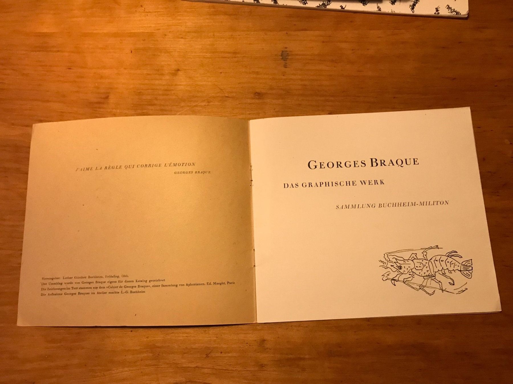 Libri: G. Braque Kunstkatalog – Usato da Luzern venduto da Turmliebe 1