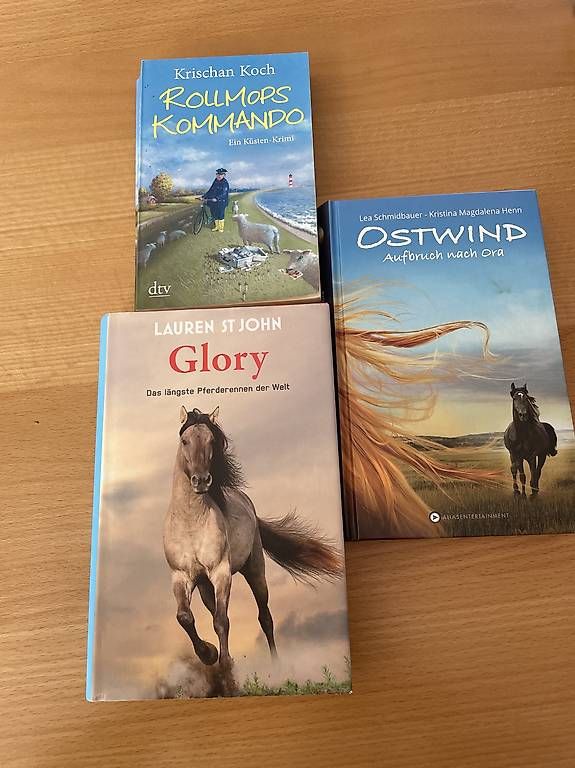 Libri: Kinderbücher und Jugendbücher – Usato da Freidorf TG venduto da lar_n9nv 2