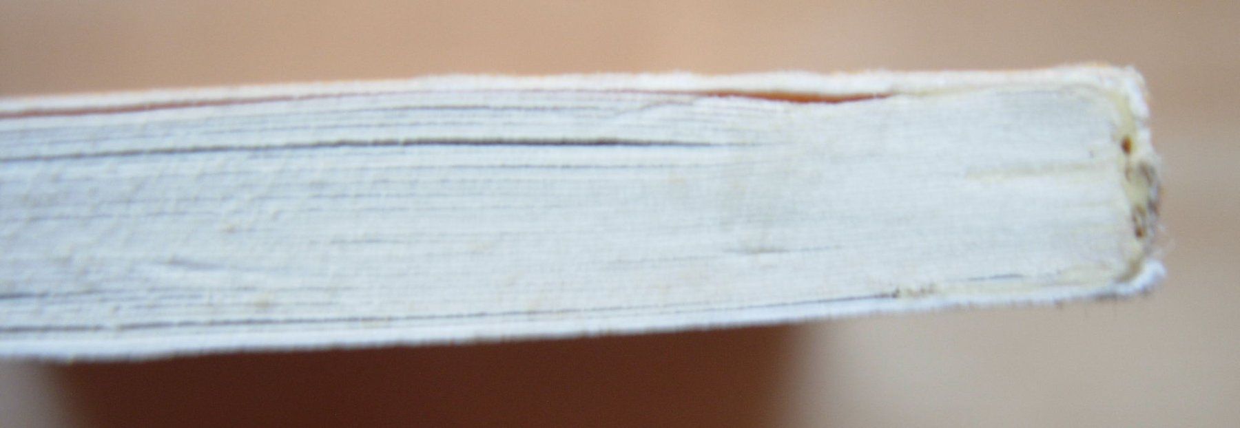 Bücher: Rundadinella - Liedersammlung – Gebraucht aus Dübendorf von rumpumpel 2