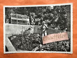  Schlangenpark Maggia Tessin, Rarität!