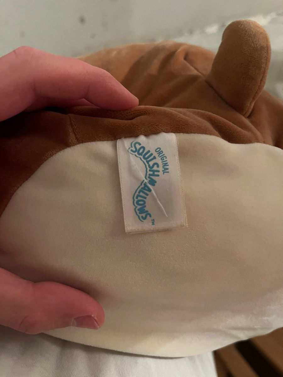 Squishmallows Giocattoli: Weichspielzeug – Usato da Bern venduto da pod_t7lg 2
