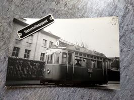 Strassenbahn Schaffhausen - Tramwagen Nr. 19 - Foto-AK