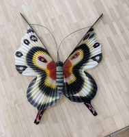 Schmetterlinge 